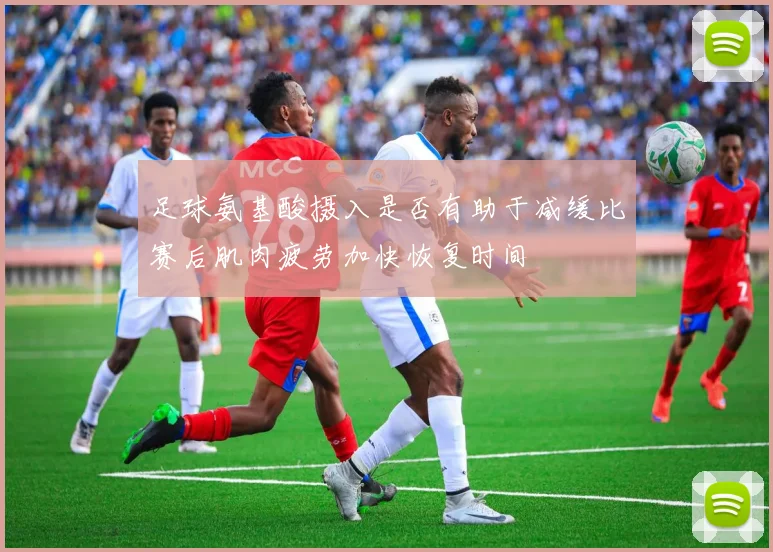 足球氨基酸摄入是否有助于减缓比赛后肌肉疲劳加快恢复时间