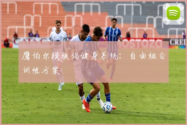 鹰伯尔模块化健身系统：自由组合训练方案