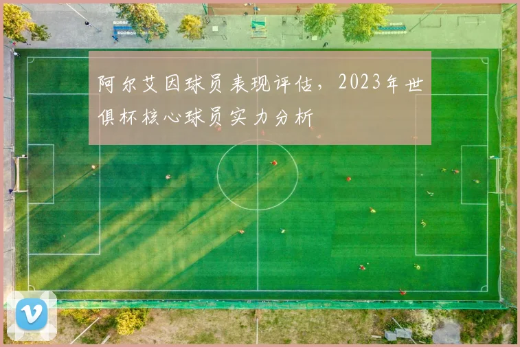 阿尔艾因球员表现评估，2023年世俱杯核心球员实力分析