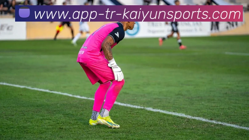 开云app平台生态图