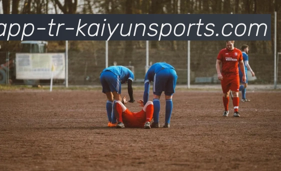 开云app全站App 开云app全站App