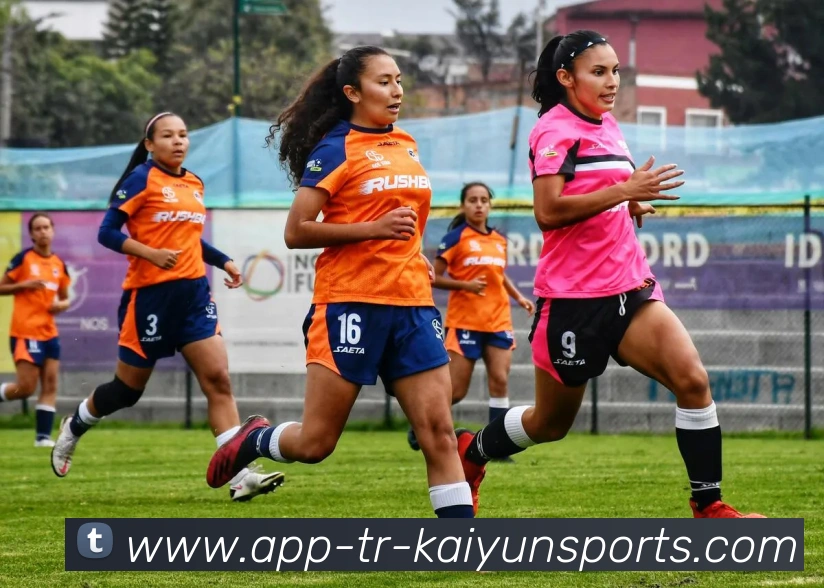 辅助工具 辅助工具